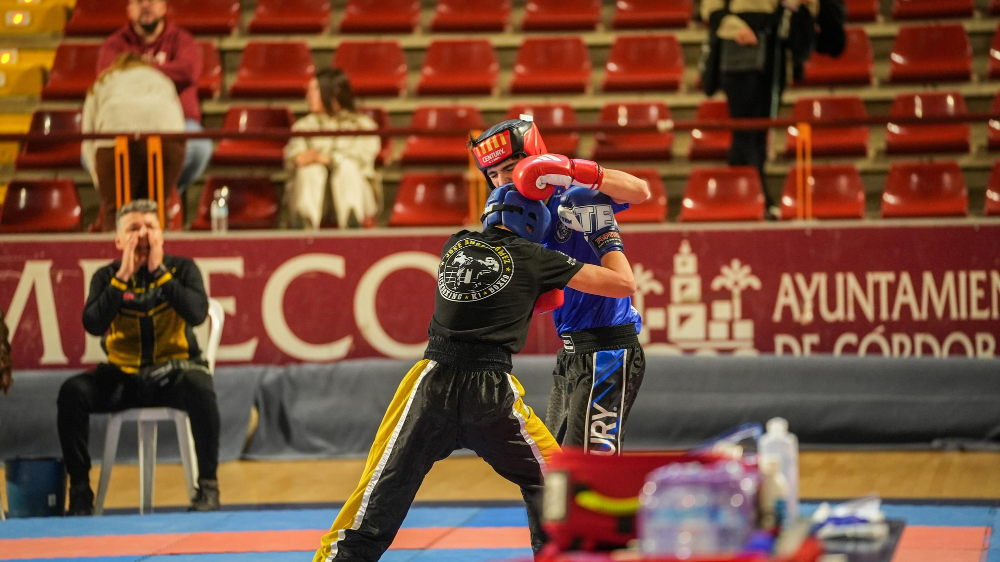 Kickboxing Stars League