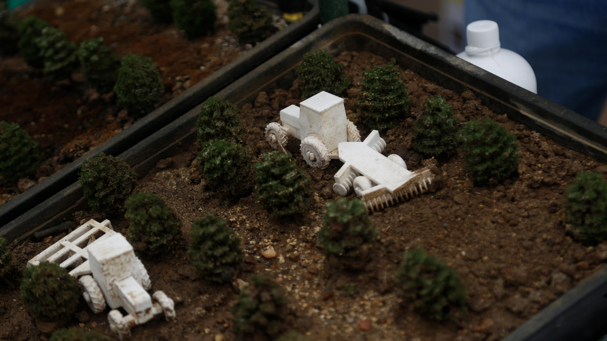 Paseo por la Ciencia 2026