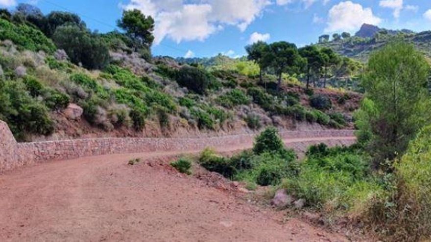 Dimite el director general de Medio Natural por la muerte de diez burros en un programa contra incendios