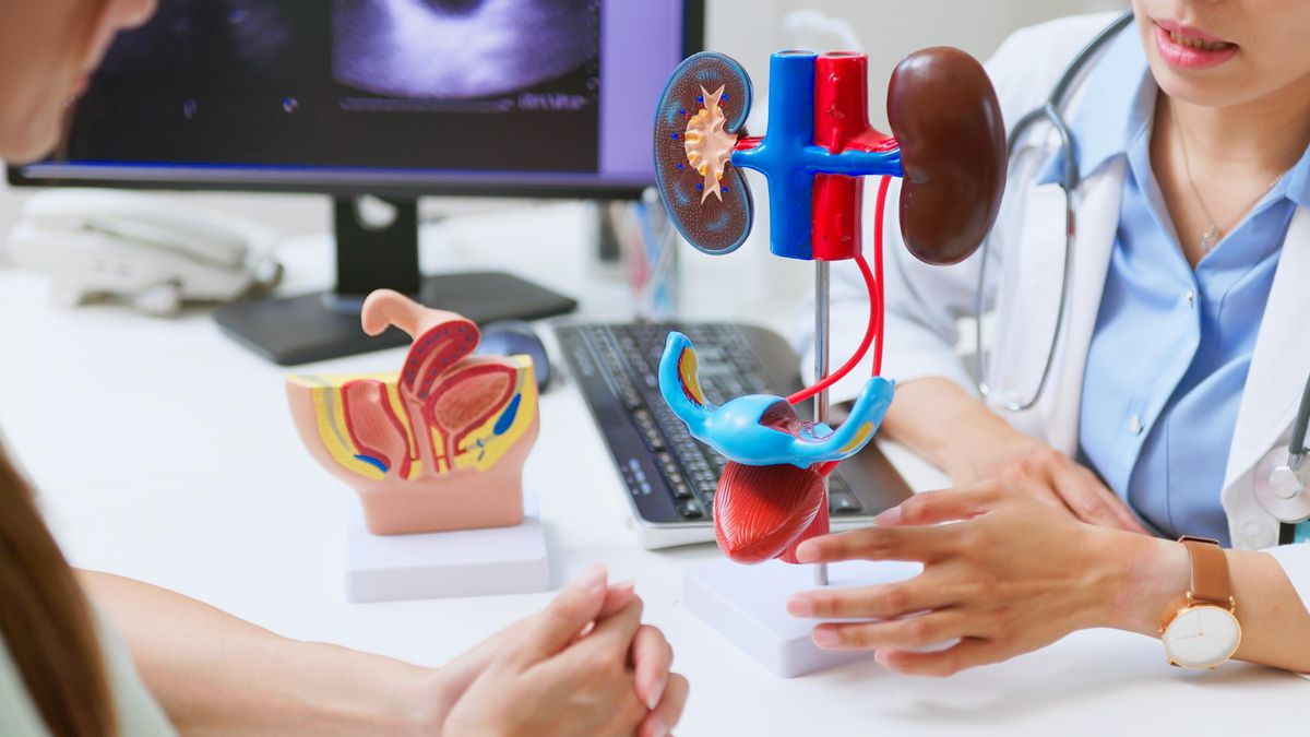 Explicación de una infección urinaria en consulta.
