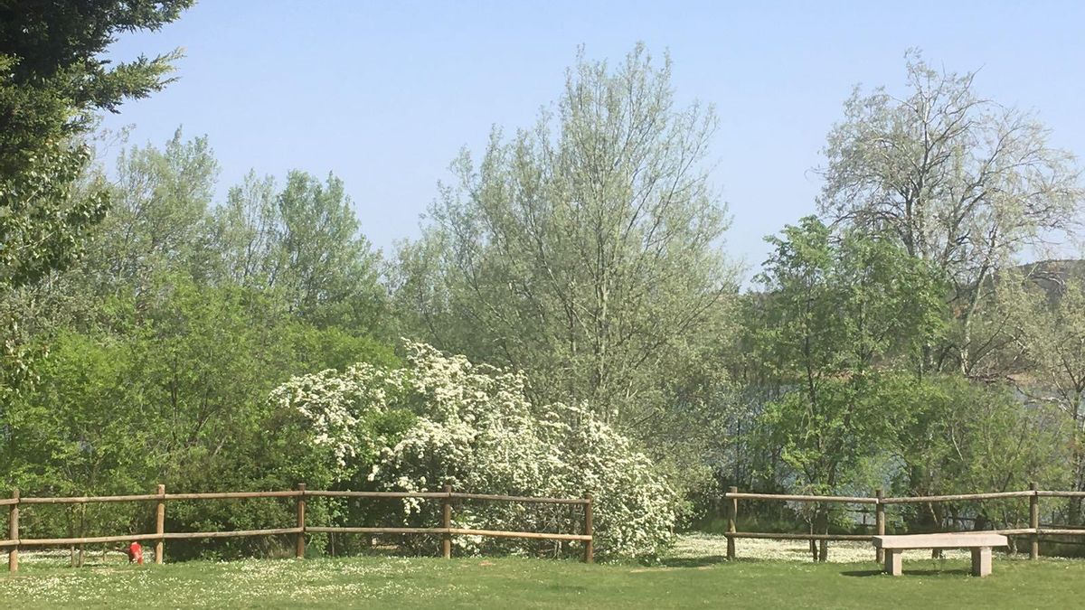 Domingo primaveral con pocos cambios en el tiempo