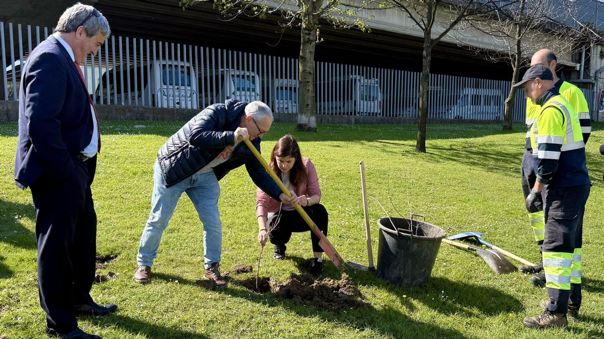 Barakaldo impulsa la renaturalización del entorno del BEC con la plantación de 4.000 árboles y arbustos autóctonos