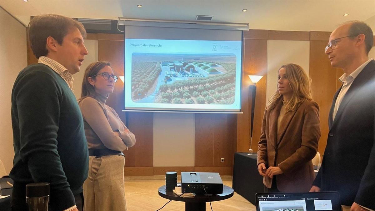 Greenar, Vorn y Oleícola El Tejar promueven plantas para "solventar los problemas" de los residuos del olivar