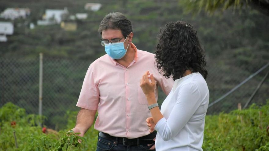 Agricultura promueve el consumo de los productos palmeros en Navidad