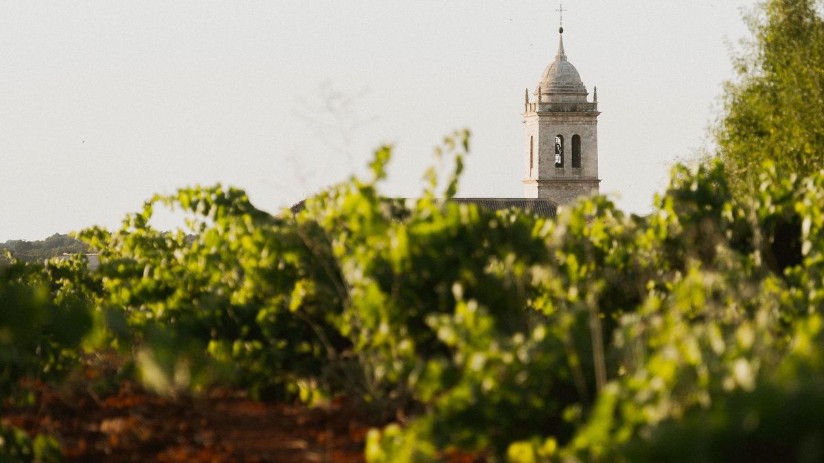 Turismo de experiencias en Guadalajara a través de un Centro de Innovación Territorial con sede en Mondéjar