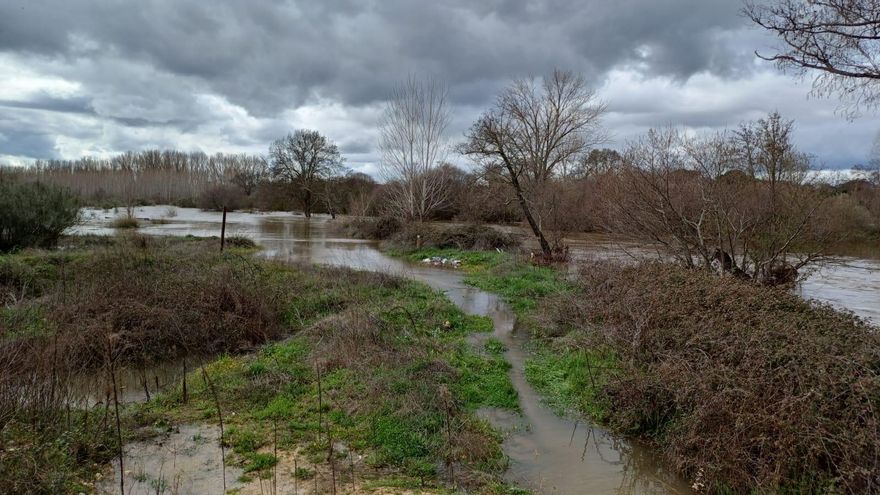 La Confederación del Tajo avisa a Toledo: se va "a desembalsar más agua" sobre el río Alberche desde Ávila y Madrid