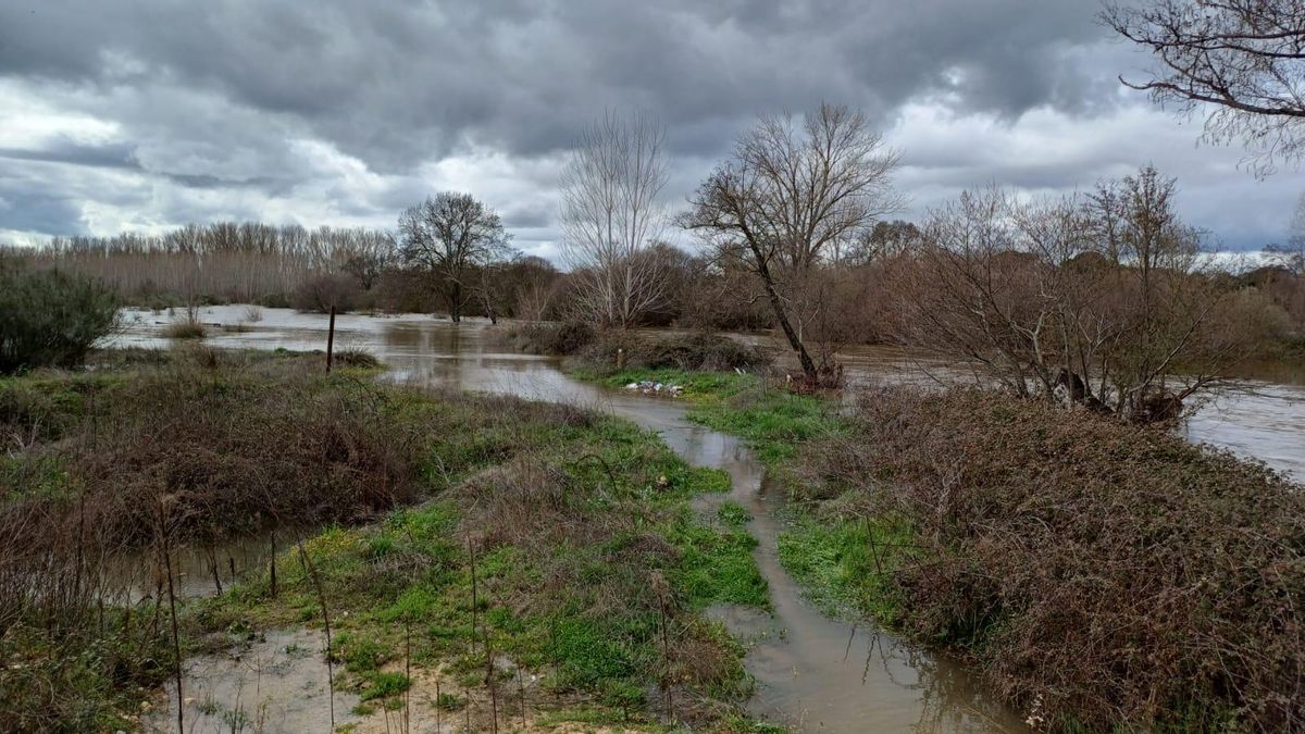 El río Alberche a su paso por Calalberche, en Toledo, tras abrirse las compuertas de las presas de El Burguillo y San Juan