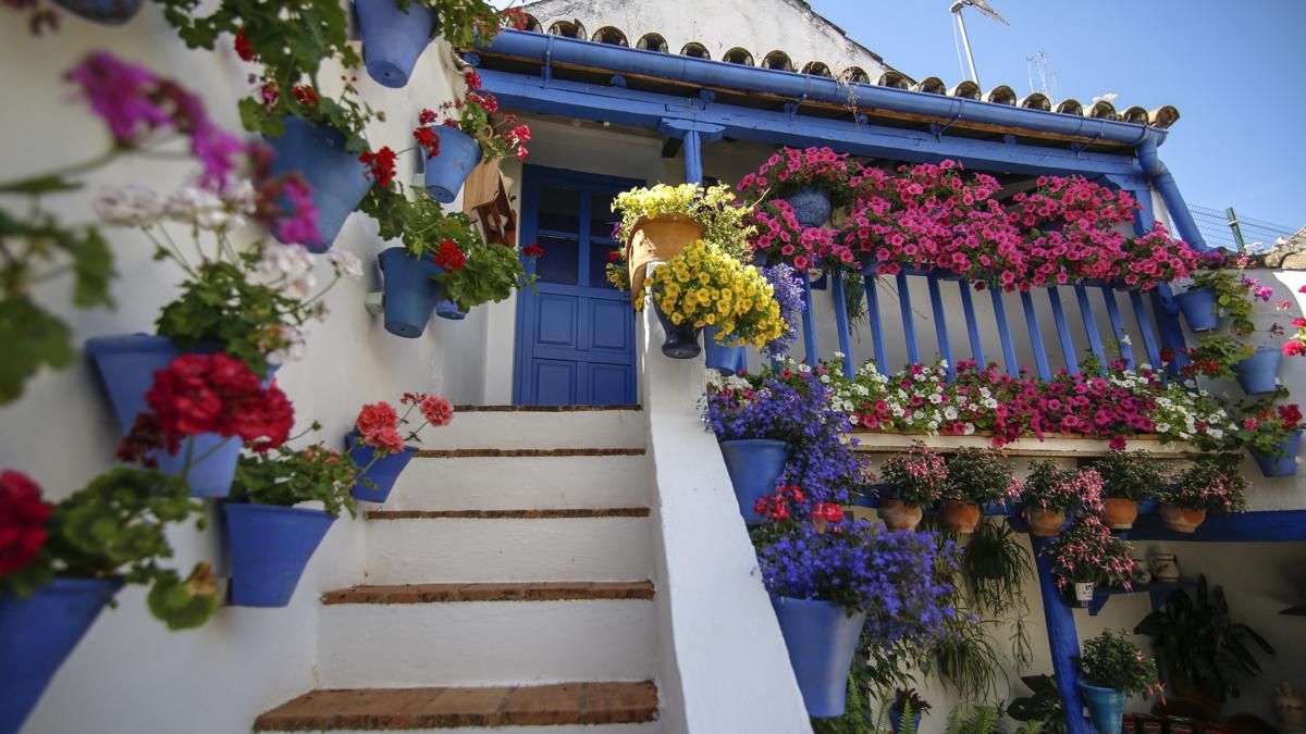 Patios 2026 Ruta 2 - San Juan de Palomares, 11