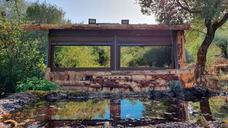 Avistamiento de linces en Adamuz, en plena Sierra Morena | ALPASÍN