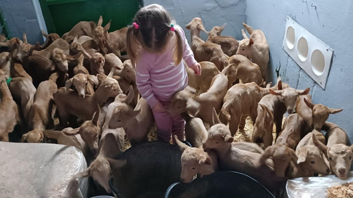Explotación de caprino de leche en Cártama.