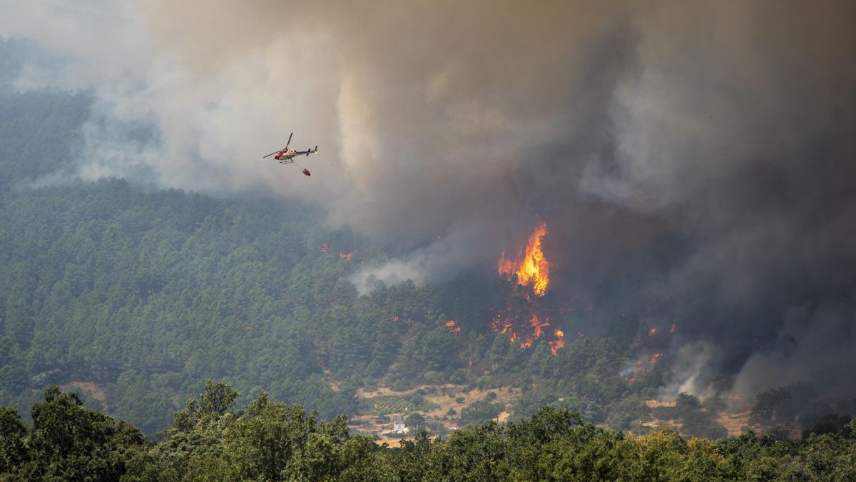 Un helicóptero colabora en las labores de extinción del fuego cerca de El Castañar de El Tiemblo, a 24 de julio de 2026.