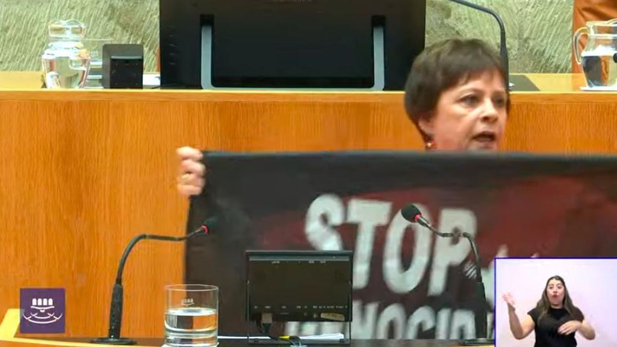 Henar Moreno saca la bandera de 'Stop Genocidio' en el Parlamento de La Rioja