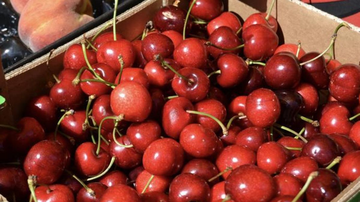 En este pequeño pueblo barcelonés hubo una gran cosecha de cerezas en 1983 y desde entonces se celebra esta fiesta en torno a esta fruta