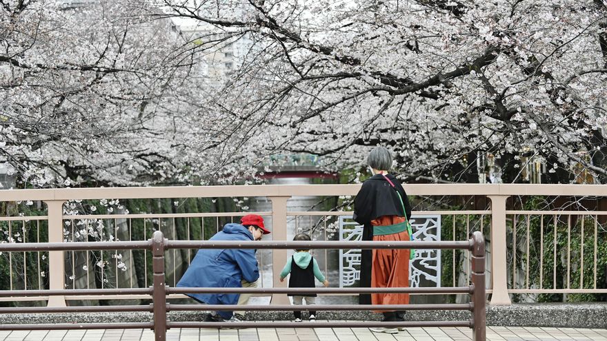 Pikachu, Naiki, Kitty: cómo quiere poner coto Japón a los nombres extravagantes de los bebés