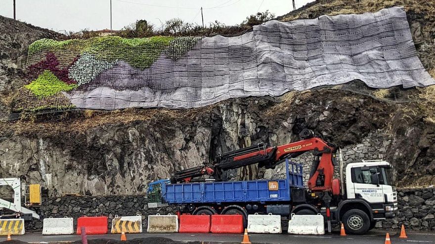 Instalación del jardín vertical en la conocida por la rotonda de Ifa, en la carretera de La Grama.