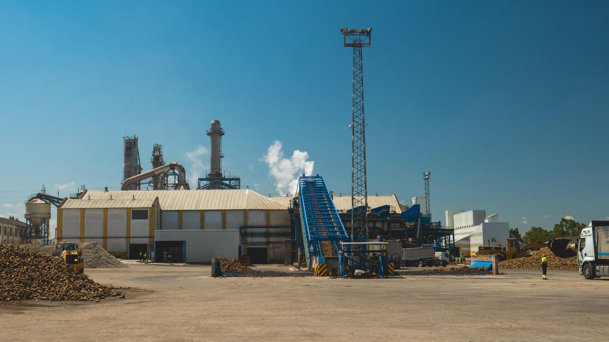 UPA pide que Junta de Castilla y León obligue a Azucarera a devolver ayudas y denuncia sus "engaños"