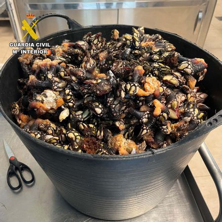 Los agentes decomisaron 16 kilos de percebes entre otras capturas. 