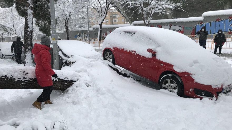 Las raíces de un árbol levantan un coche