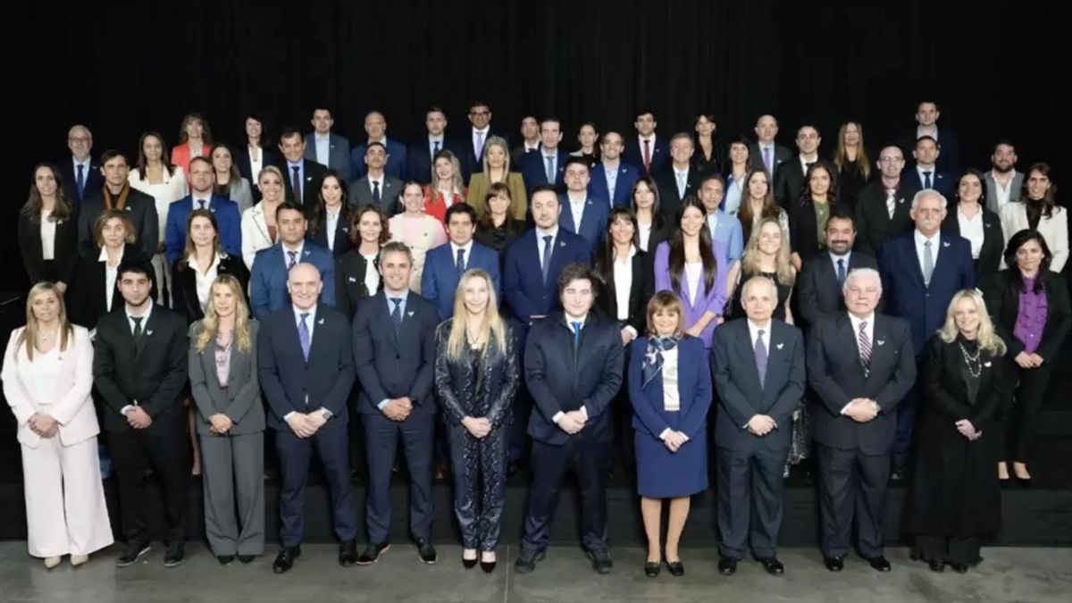 No es sólo el dueño del Tesla: tres de cada diez legisladores nacionales de LLA son empresarios