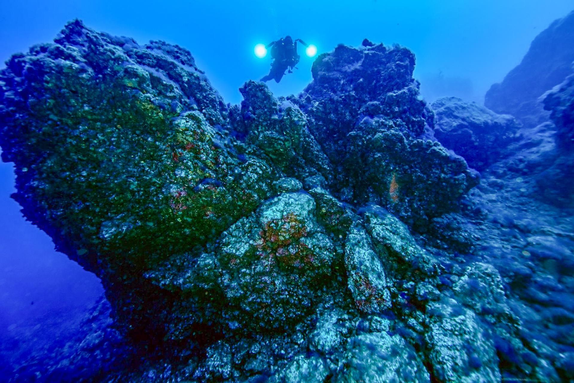 la Plataforma Oceánica de Canarias ha presentado los avances del proyecto Delta, centrado en estudiar la recuperación de los ecosistemas marinos en las fajanas creadas por la lava en la costa de La Palma