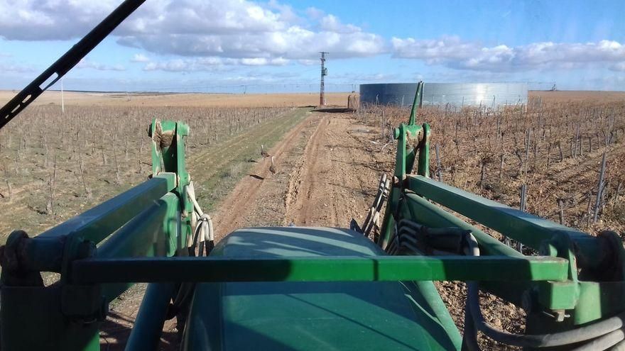 Explotación de Eva Marín en Toledo