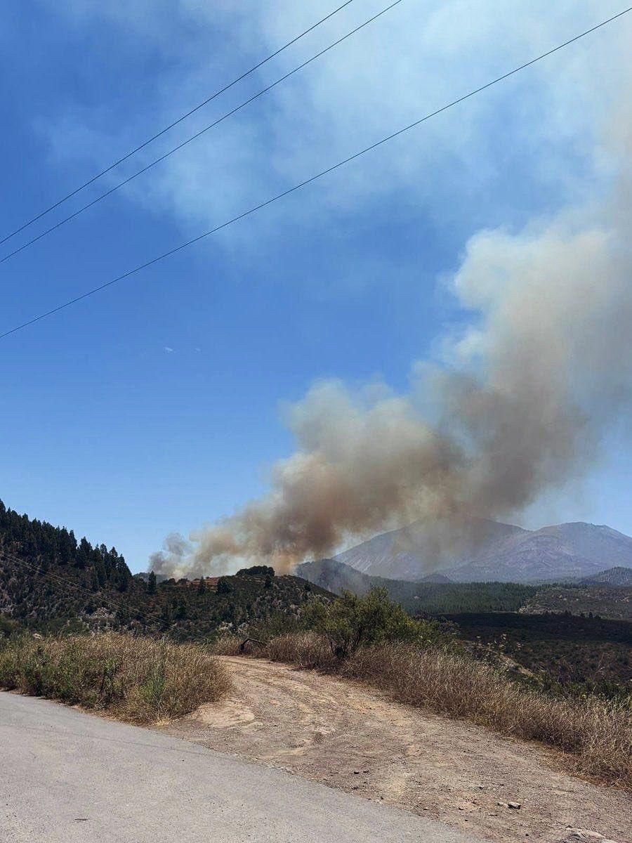 Conato de incendio en la zona de los Partidos de Franquis, en El Tanque (Tenerife).