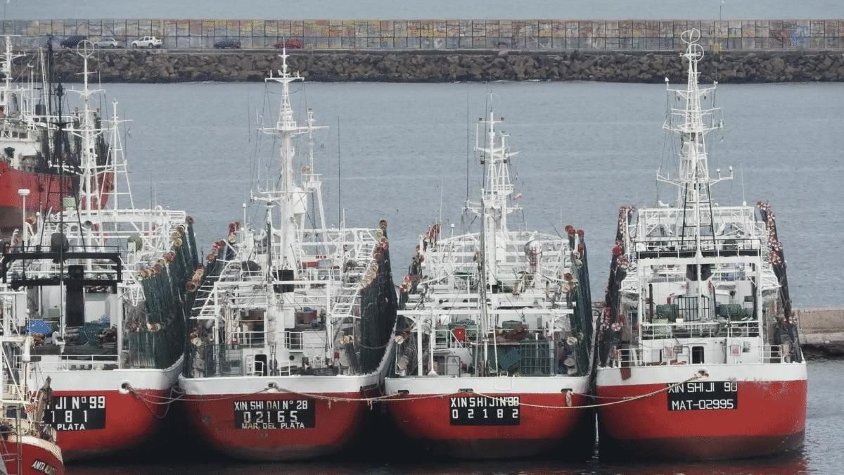 Parte de la flota Xin Shi Ji. Algunos barcos están a nombre de Fénix Internacional y otros continúan a nombre de Zheijian Ocean Family en la Organización Marítima Internacional.