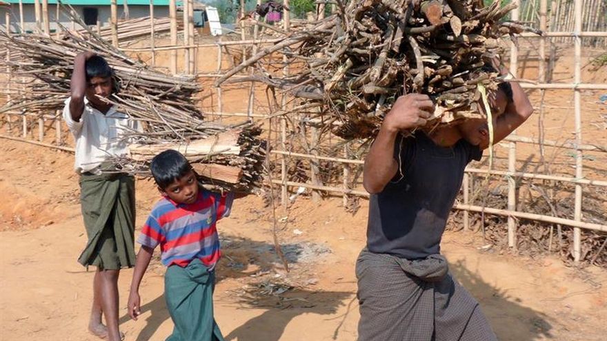 Abusos y degradación en la recogida de leña por los rohinyás