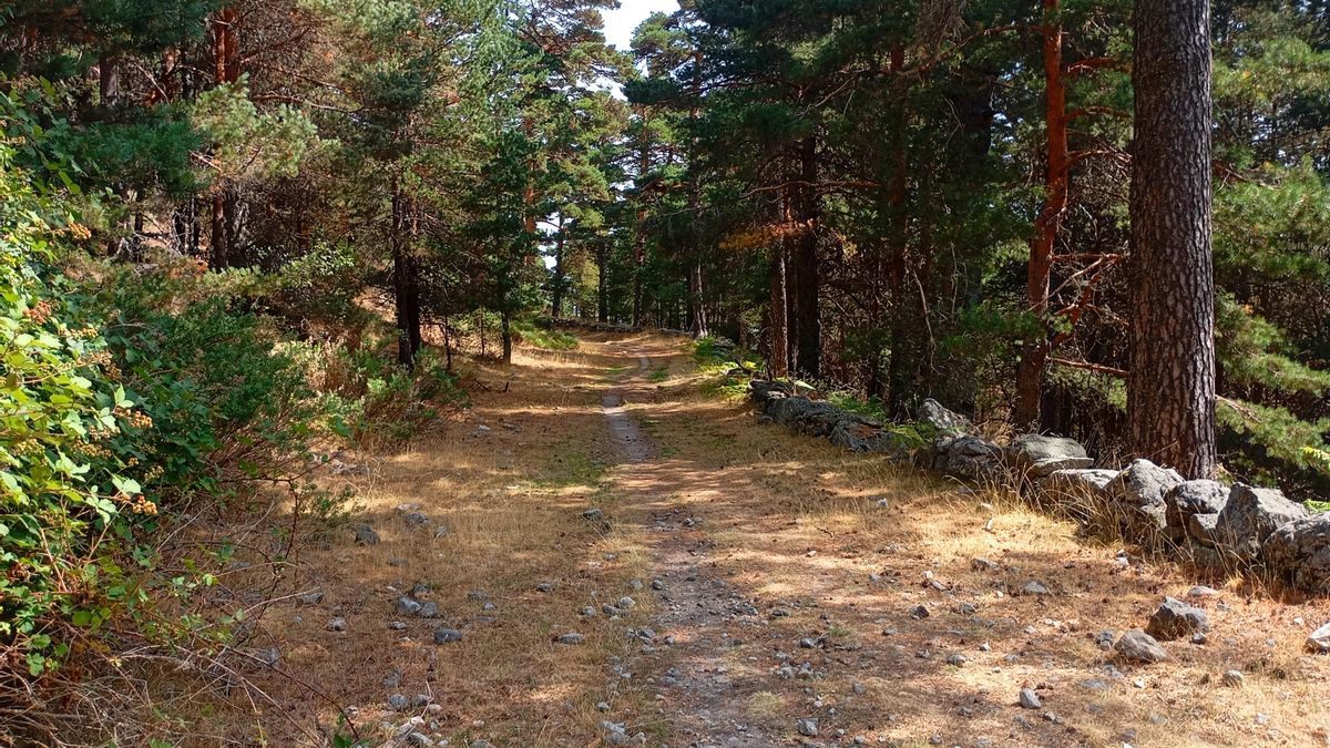 Calzada Romana de la Fuenfría.