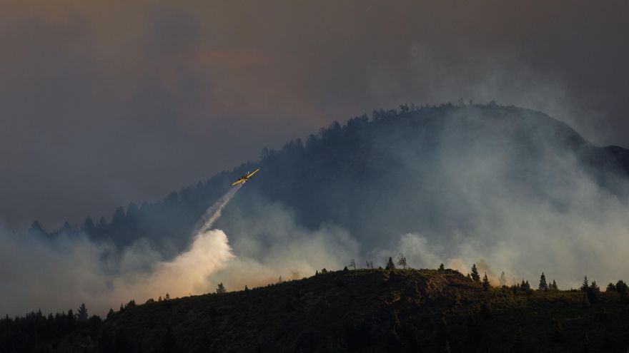 Greenpeace: Semana del Clima es una "oportunidad" para iniciar un plan antideforestación