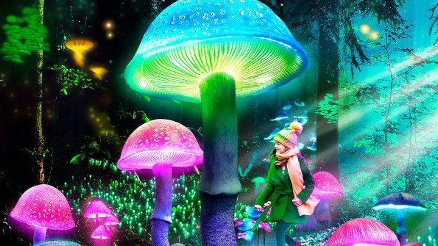 Origen, la nueva experiencia con naturaleza encendida del Real Jardín Botánico