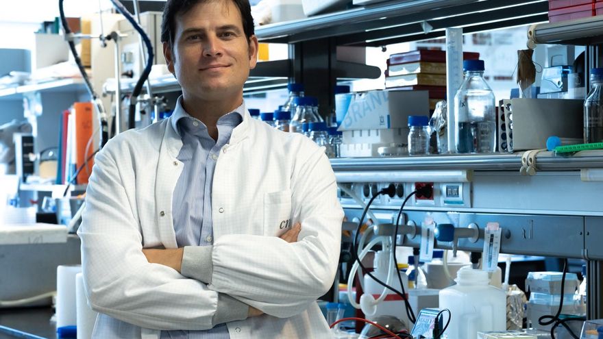 Identifican una nueva vía para evitar el daño cardíaco de la quimioterapia que afecta al 5% de los pacientes