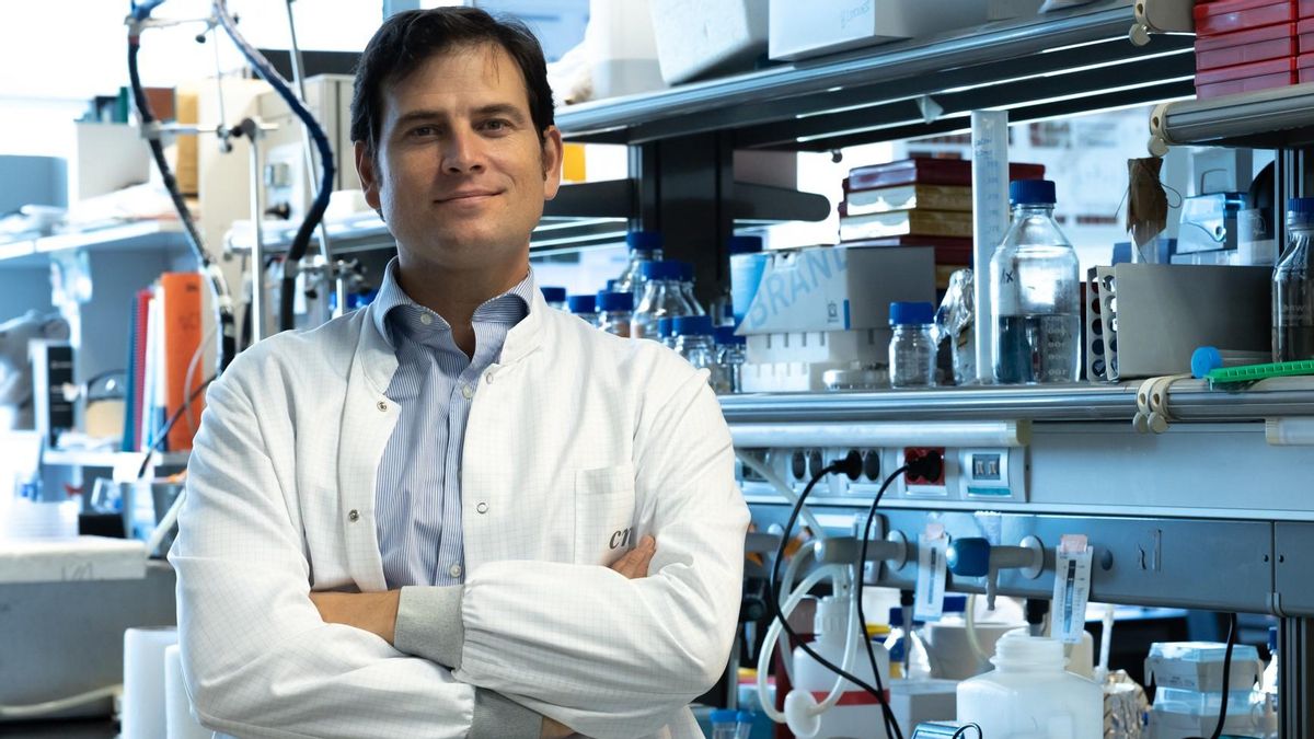 Identifican una nueva vía para evitar el daño cardíaco de la quimioterapia que afecta al 5% de los pacientes