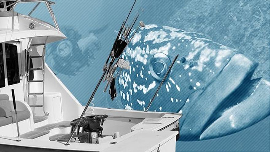 España intenta cortar las redes de la pesca furtiva disfrazada de pasatiempo que diezma especies marinas
