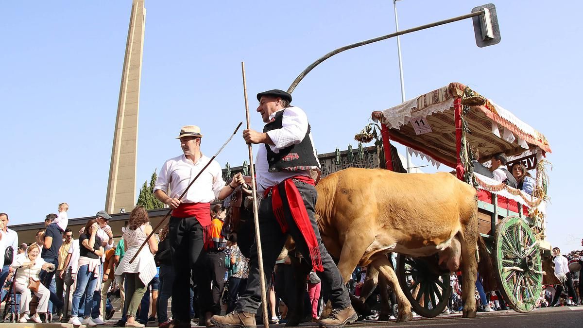 Los carros engalanados vuelven a La Virgen del Camino este domingo con la tradicional romería de San Froilán