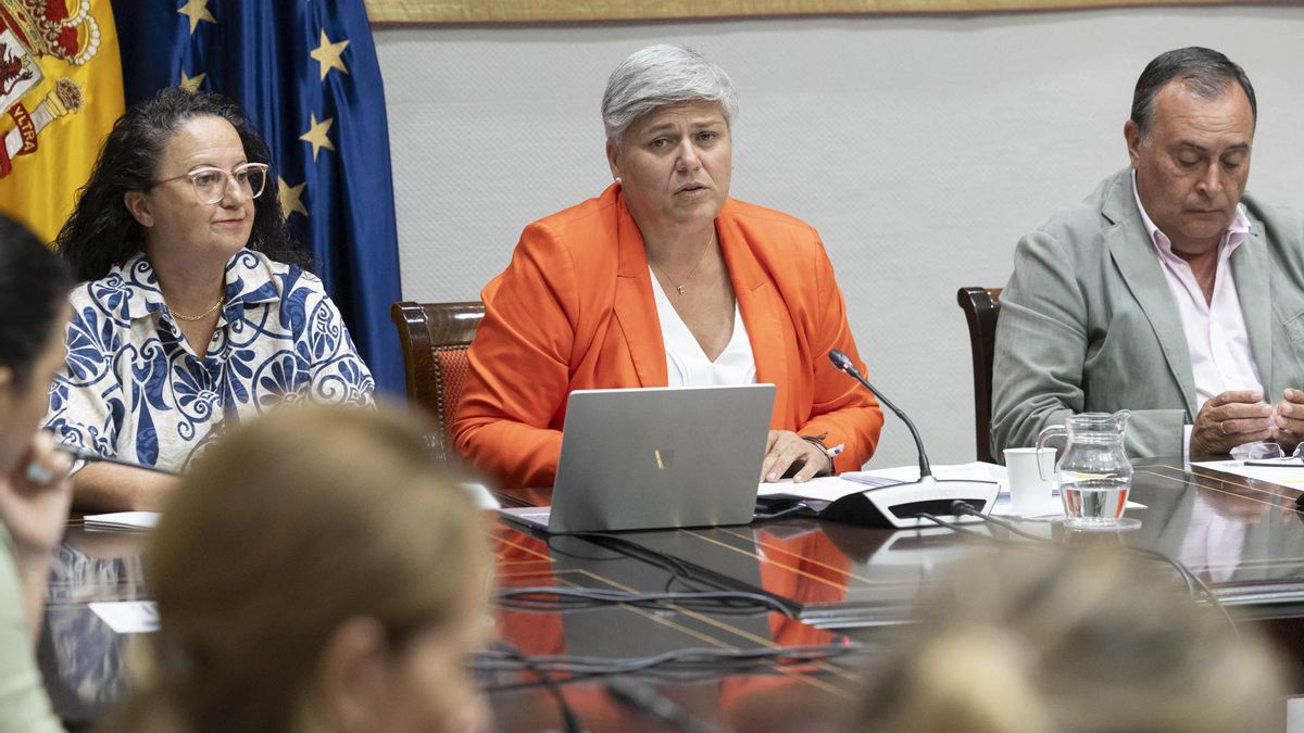 La Comisionada de la Transparencia y Acceso a la información pública, Noelia García Leal, ha comparecido en comisión parlamentaria para dar a conocer el informe anual de cumplimiento de la ley de Transparencia de Canarias en 2024.