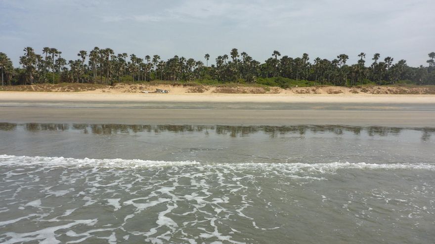 Playas en Kololi (Senegambia). Gambia cuenta con 80 kilómetros de costas en los que se suceden las playas.