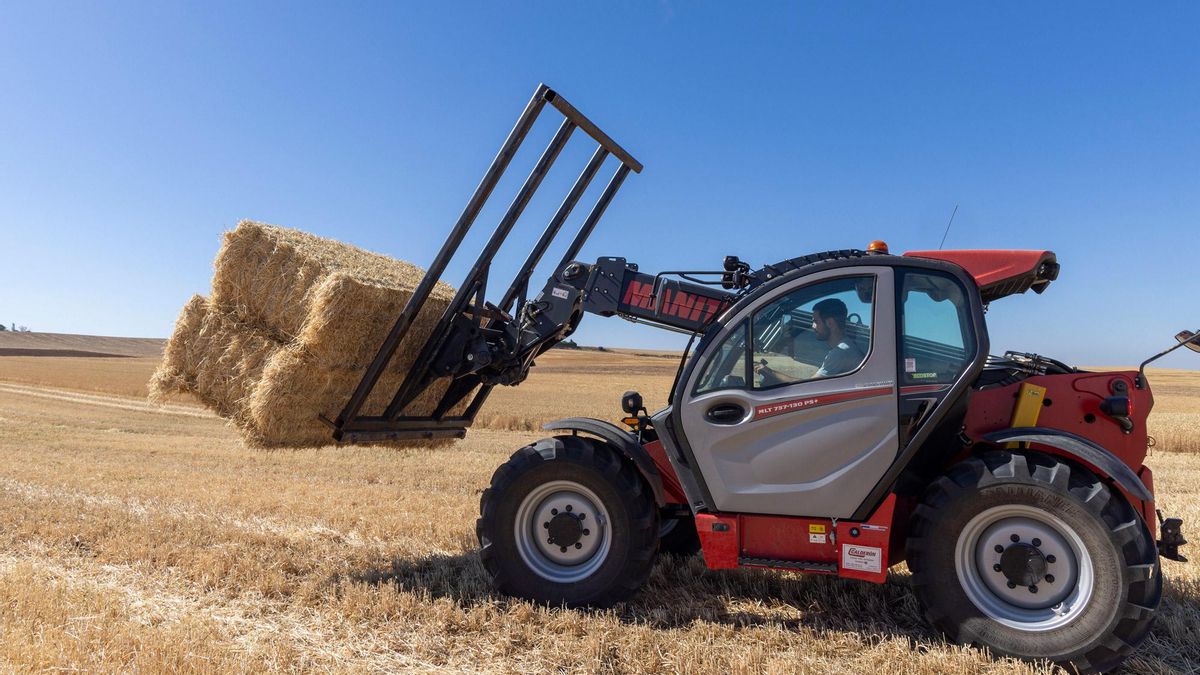 Un tractor llevando balas de paja.