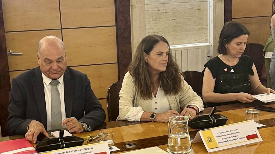 Del Consejo Territorial de Servicios Sociales y del Sistema para la Autonomía y Atención a la Dependencia