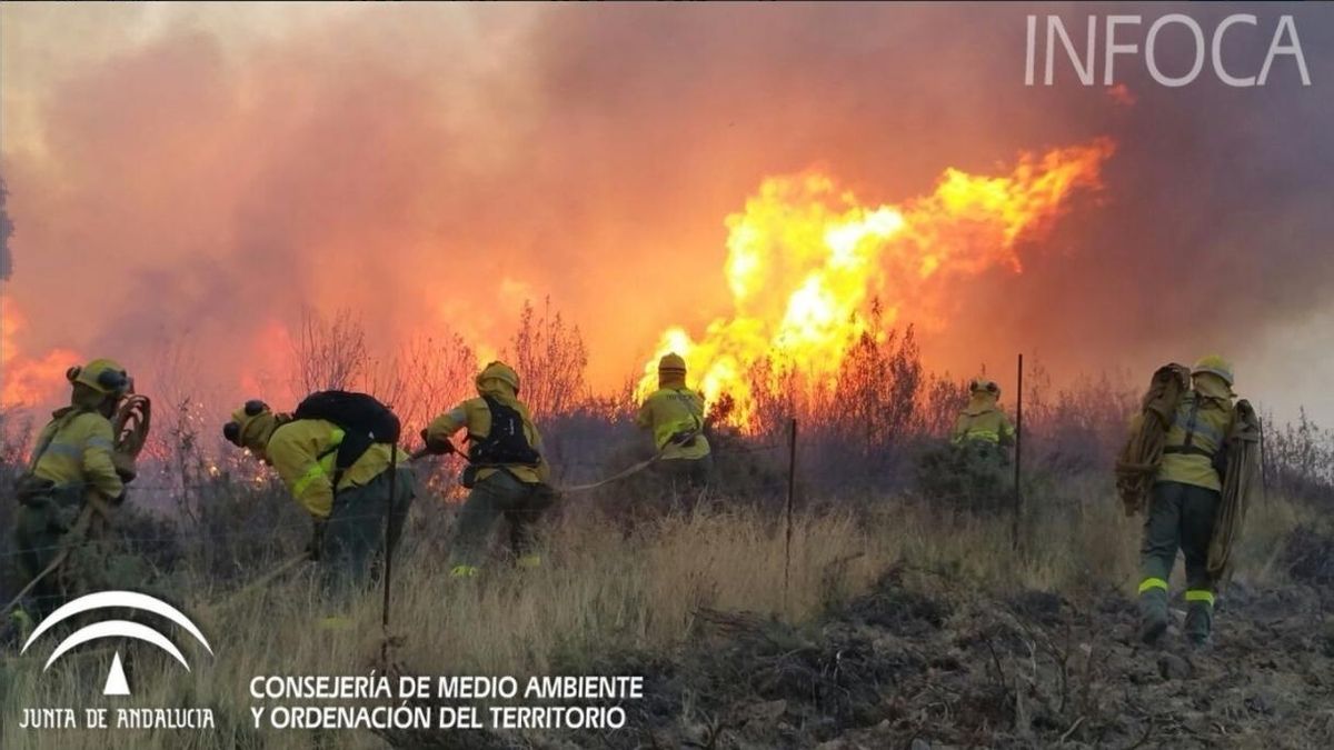 Ecologistas alertan de que los incendios en Huelva y Sevilla afectan a espacios "de alto valor ecológico"