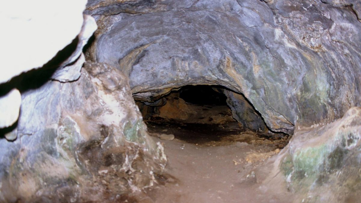 Las ‘cuevas del gofio’: cuando el polvo de huesos humanos aborígenes se utilizaba para abonar las huertas