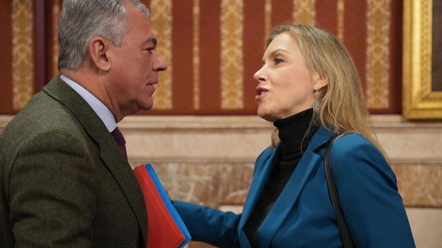 El alcalde saca pecho de su pacto con Vox para el presupuesto de Sevilla: "Aquí no veo ningún partido de ultraderecha"