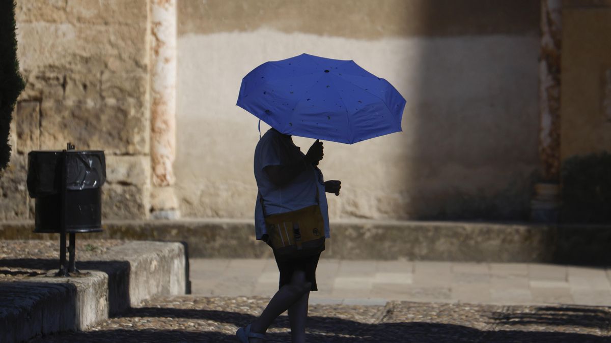 Vsak četrti Španec doživel zdravstvene težave zaradi vročinskih valov, večina vpliv pripisuje podnebnim spremembam