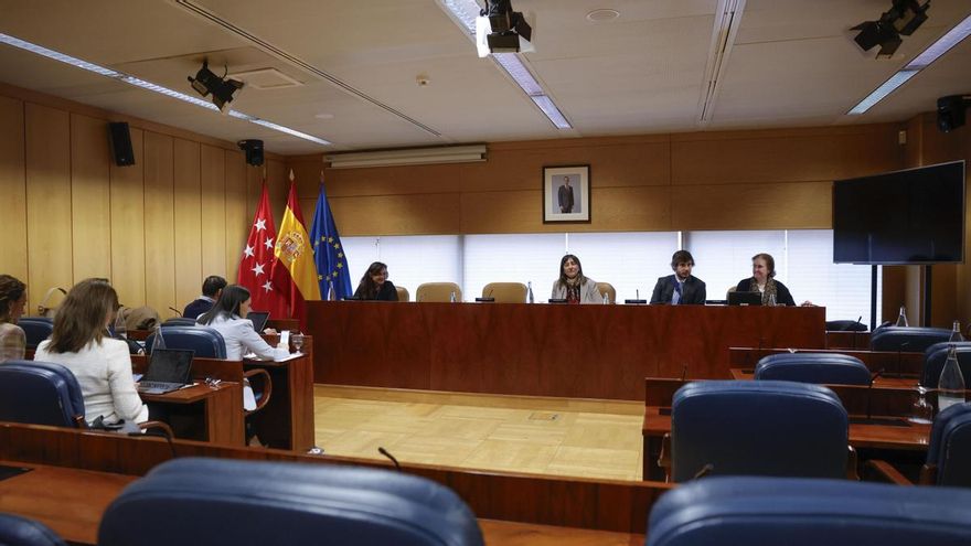 La responsable de contratación de Barrabes.biz y profesora del Máster Dirección de Fundraising público y privado en ONL, Isabel García-Lomas, durante la comisión de investigación sobre la cátedra de Begoña Gómez en la Asamblea de Madrid