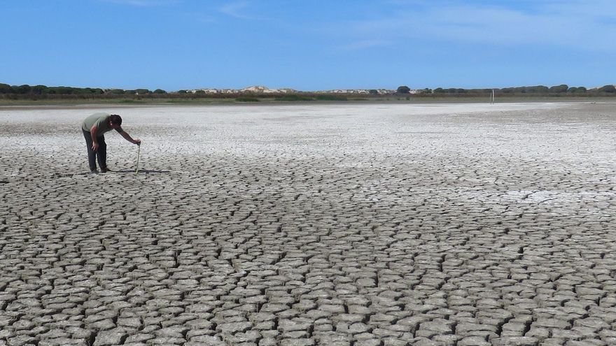 El estado del acuífero y el descenso de aves, las otras inquietudes de la Unesco con Doñana más allá de la ley del PP