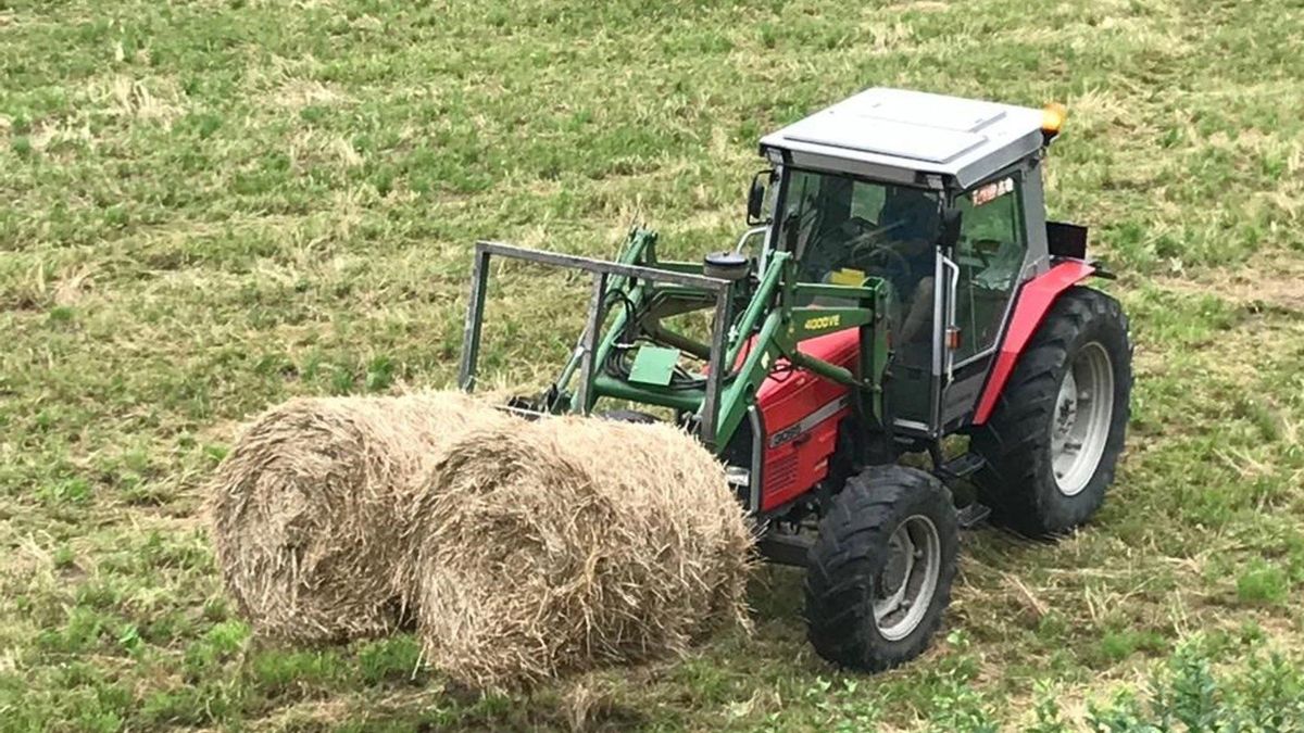 UAGA teme que las elecciones en Aragón impliquen un "parón" en Agricultura "colapsado por falta de personal"
