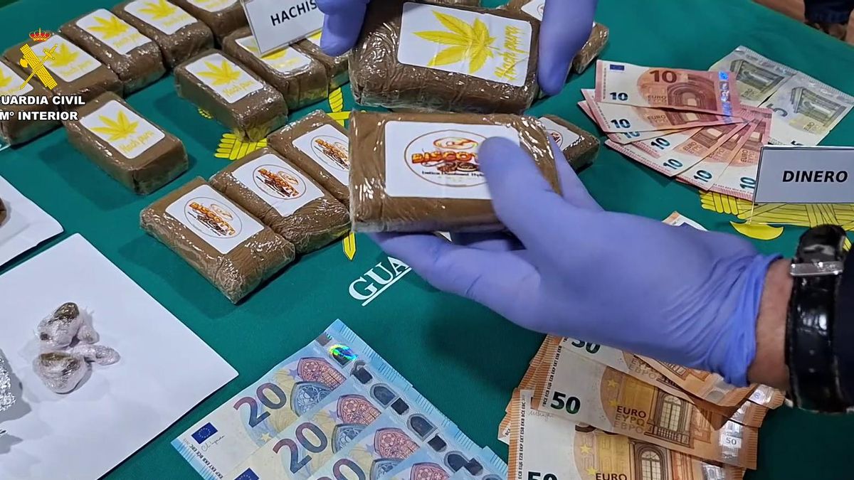 Desarticulados dos narcopisos en Almansa (Albacete)