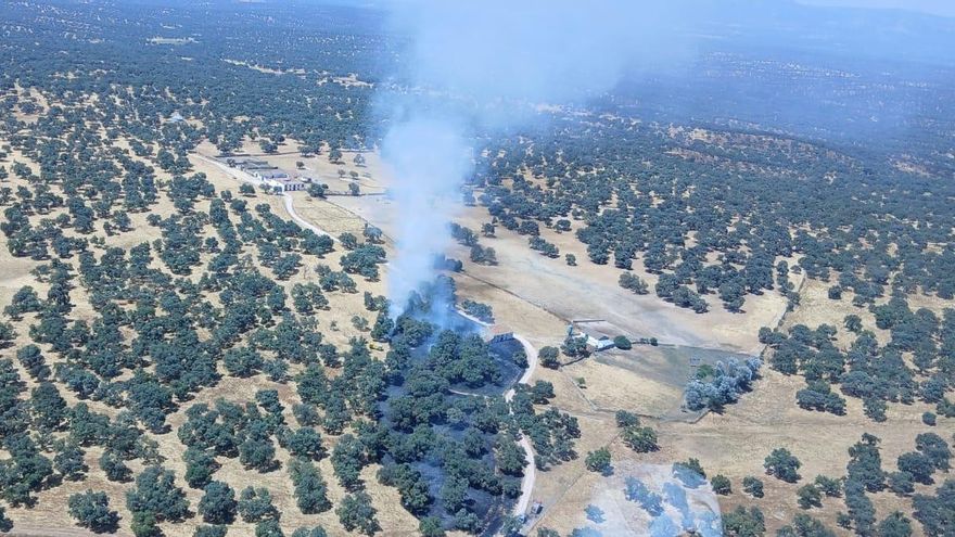 El Infoca logra extinguir el incendio forestal en Cardeña