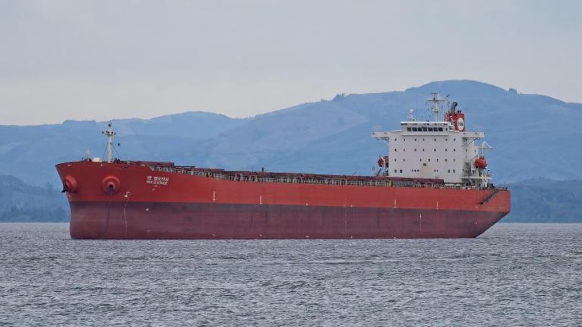 Suecia aborda un carguero sospechoso de delitos ambientales que se dirigía a Gran Canaria