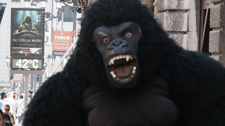 Euskadi cierra un 2023 de calor extremo: 2,5 grados más en Álava y récords de temperaturas en Bizkaia y Gipuzkoa